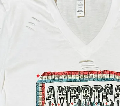 American West Fest Buffalo V-Neck T-Shirt