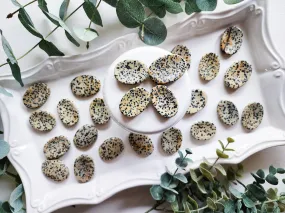 Dalmatian Jasper Mini Worry Stone