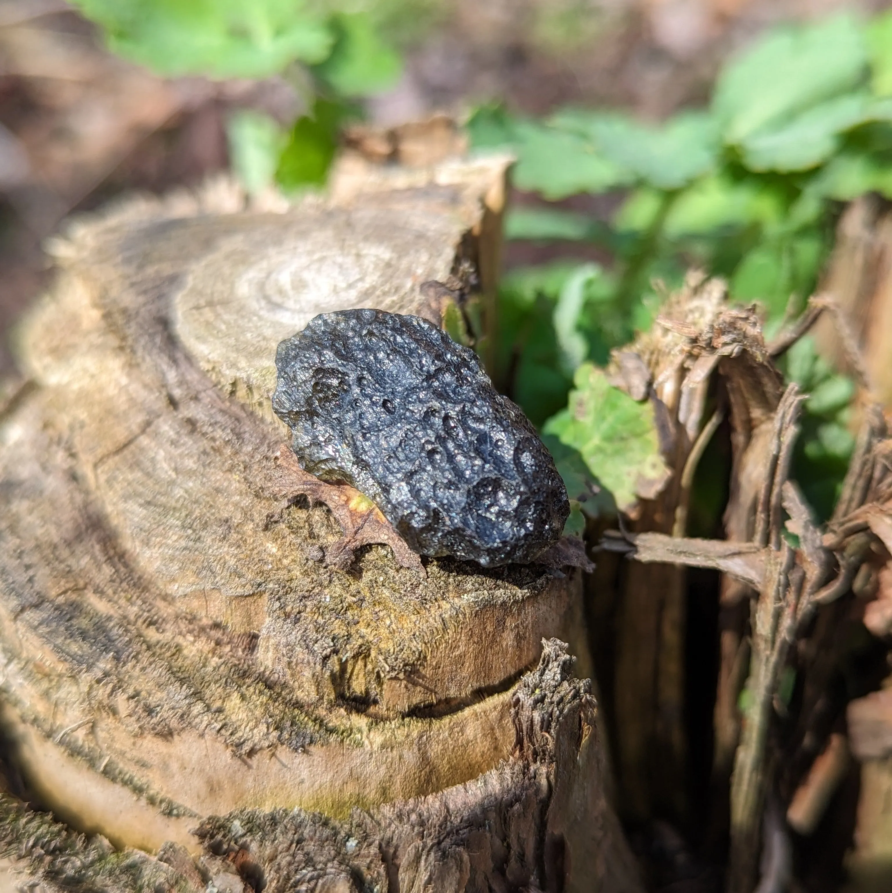 Genuine Moldavite ~Cosmic Moldavite Tektite Crystal~ Natural Moldavite