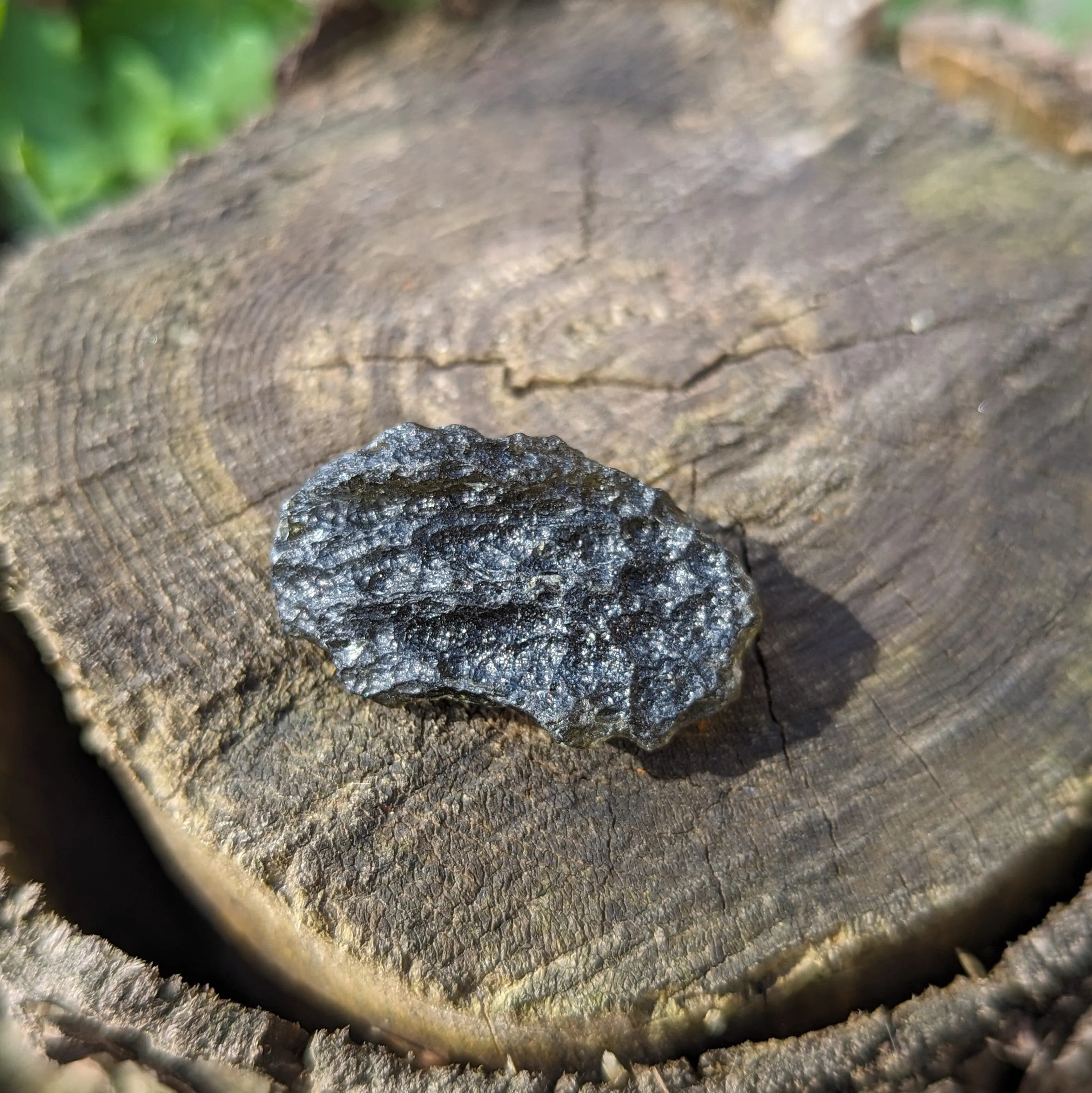 Genuine Moldavite ~Cosmic Moldavite Tektite Crystal~ Natural Moldavite