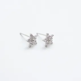 Silver Star Multi Crystal Studs