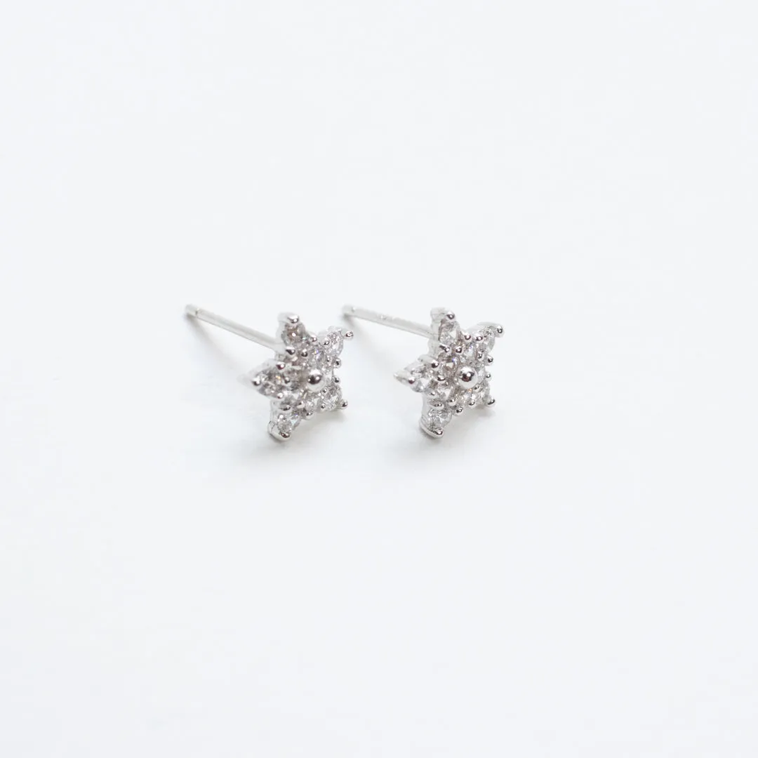 Silver Star Multi Crystal Studs