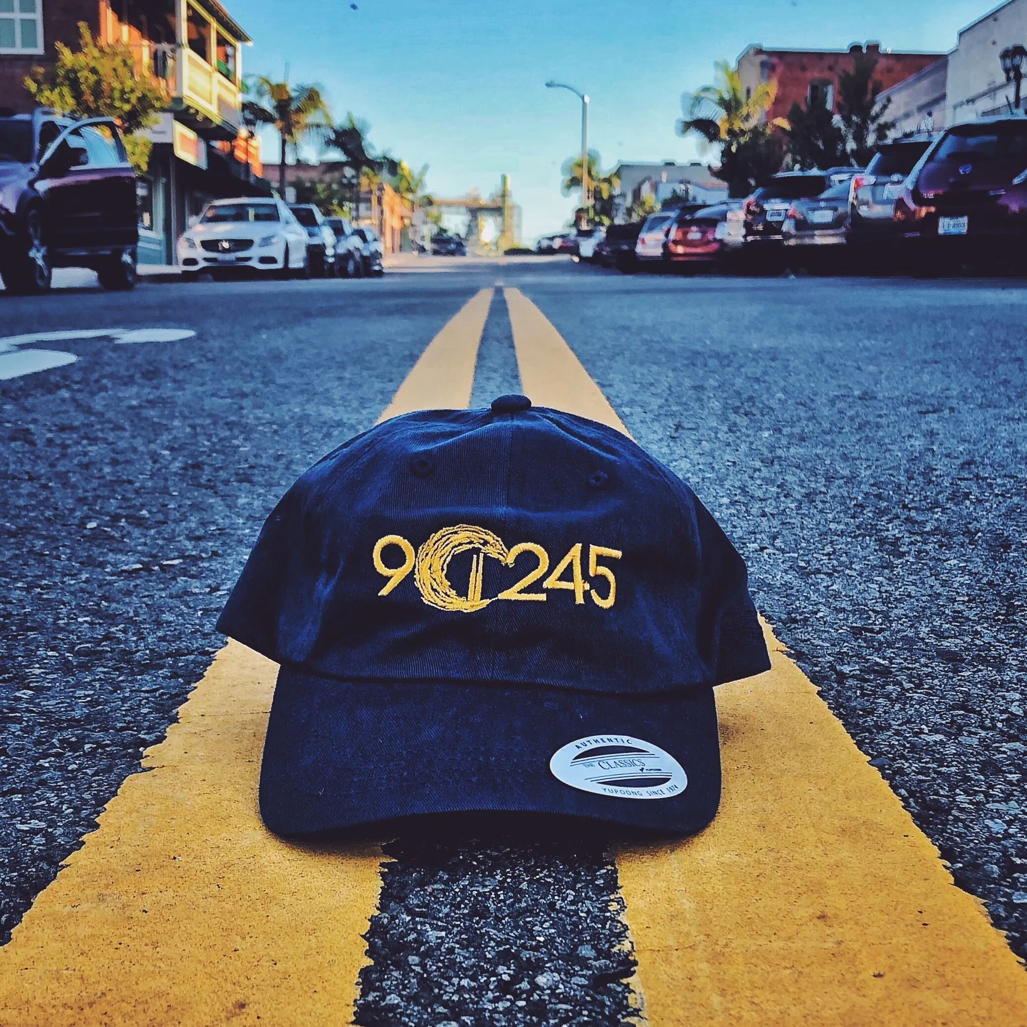 The Code: 90245 Dad Hat/Ballcap